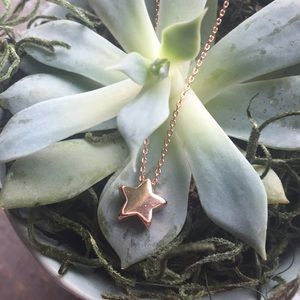 HP Rose Gold Star Necklaces